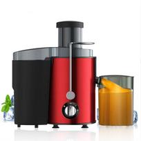 110V Stainless Steel Multifunctional Juicer with Large Capacity Motor - US/EU Standard EU Standard