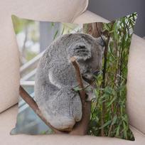 Bedroom Living Room Decor Pillowcase Cute Australian Koala Cushion Cover Wildlife Pattern Print 16x16Inch
