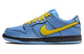 Galingosios mergaitės X Nike SB Dunk Low „Burbuliukė“ FZ8320-400 41 gray