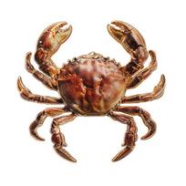 Cute Crab Brooch for Women Men Vintage Crab Enamel Lapel Pin Ocean Animal Brooch for Jackets Hats Scarves Bags