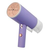 Lyginimo sistema Mini garinis lygintuvas (1000 W, 130 ml vandens bakelis, sulankstomas)