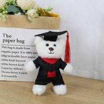 Graduation Doctor Bear Keychain - Cute Plush Teddy Pendant 18 cm