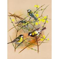 GATYZTORY Frame Birds DIY Painting By Numbers Home Decor Wall Painting Coloring Paint On Canvas Unique Gift For Wall Art Picture 20x30cm No Frame