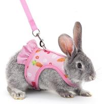 Cute Adjustable Rabbit Harness Outdoor Leash Buckle Breathable Mesh Vest Skirt Bunny Guinea Pig Small Pet Traction Harness Suit (as the picture,S)