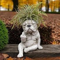 Superior-Grade Grumpy Premium-Quality French Superior-Grade Bulldog First-Class Resin High-Standard Planter First-Class Outdoor First-Class Garden
