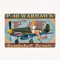 Metal Wall Art P-40 Warhawk WWII Fighter Plane Retro Aircraft Decor for Living Room