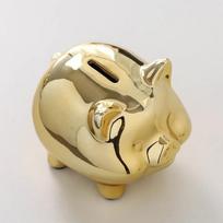 Ceramic Gold Pig Style Piggy Bank Cute Coin Piggy Bank Storage Ornament Creative Home Furnishings Lucky Pig Money Box ZG109