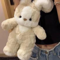 Cute rabbit doll good night rabbit sleeping with puppy doll carrot apron rabbit doll cotton doll gift 30cm
