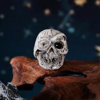 Miniature Antique Animal Skull Resin Ornament for Halloween Decor