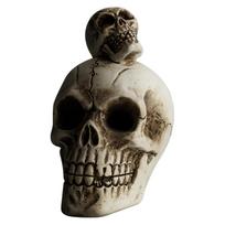 Halloween Skull Incense Holder 6.5x4.5x8.5cm Resin Horror Creepy Skull Head Figurines For Home & Car Decoration