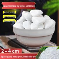 White Decorative Landscape Pebbles
