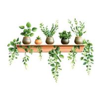 Potted Green Plant Shelf Wall Decal Tropical Plants Green Leaves Wall Stickers Removable Wall Art Murals for Living Room Bedroom Kitchen Office B