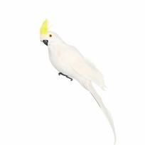 25cm/35cm/45cm/60cm Simulation Parrot Multicolor Photo Props Artificial Bird Model Foam Garden Decorative Bird Home Decoration