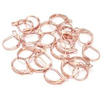 50pcs Hypoallergenic Earring Hooks French Lever Back Earwire Stainless Steel Earrings Clasps For DIY Jewelry Making Supplies 13x11mm 50pcs