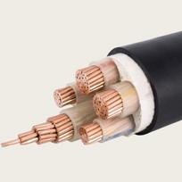 Sealing Machine Copper Core Cable CN plug (adapter included)