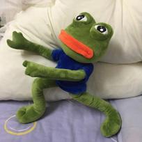 45cm Animal Sad Frog Plush Toy Soft Stuffed Pillow Magic Expression Pepe The Sad Frog Plush Doll Birthday GIfts For Girls Boys