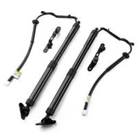 Electric Tailgate Strut for 2013-2018 Toyota RAV4 (Part Numbers: 6891009010, 6892009010) SSS