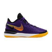 Nike Zoom LeBron NXXT Gen EP 'Lakers' 41