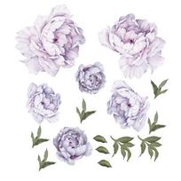 Purple Peony Flowers Wall Stickers for Kids Room Living Room Bedroom Home Decoration Wall Decal
