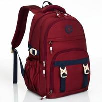 Ergonomiška mokyklinė ir kelioninė kuprinė Peterson su tvirtinimu prie lagamino, bordo, 26 l