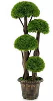 Dirbtinis kiparisas 90 cm