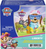 PAW PATROL figūrėlė Skye's World Rescue Liberty, 6076579