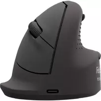 Fellowes 100143581 kompiuterio pelė Universalus Dešinės rankos Bluetooth + USB Type-C Optinis 2400 DPI