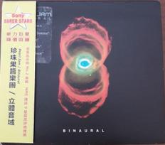 CD Pearl Jam – Binaural (naudota)