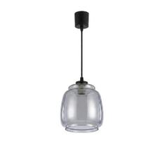 Brilagi - pakabinamas LED šviestuvas ant troselio R GLASS 1xE27/60W/230V skersmuo 26 cm juoda/dūminė pilka