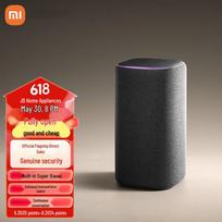 Xiaomi AI Smart Speaker Pro CN plug (adapter included) (CN version)