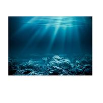 Žuvų akvariumo lipdukas 3D HD paveikslas, PVC medžiagos fonas akriliniam akvariumui decoration S