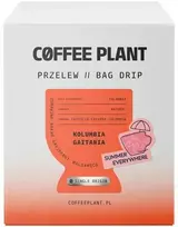 Coffee Plant KAVOS AUGALAS - Kolumbija Gaitania Summer Everywhere lašų maišelis - 10 pakelių po 11 g