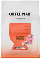 Coffee Plant KAVOS AUGALAS - Kolumbija Gaitania Summer Everywhere natūralus filtras 250 g