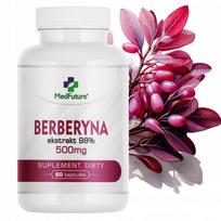 Berberine HCL barzdotojo raugerškio ekstraktas 98%, 500 mg