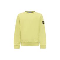 Stone Island Sweatshirt Loose Fit Solid Color Crew Neck Long Sleeve Kids Kids sweatshirt 791661320-V0031 6