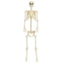 Realistic Full Body Human Bone Halloweens Props Flexible Joints Portable Plastic Indoor Outdoors Decoration 180Cm 1 beige