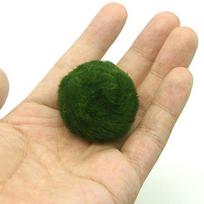 3-4 cm Marimo samanų rutuliukai Gyvas akvariumo augalas Dumbliai Žuvų krevečių rezervuaro ornamentas Imitacija Žali samanų rutuliukai Dirbtinis augalas onesize