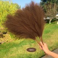 5 Pieces Artificial Pampas Grass 70cm Tall Fake Pompous Flower DIY Wedding Party Home Decoration Desktop Flower Decors ruda