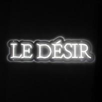LED neoninė prekės ženklo iškaba „Le Désir“ 45x17 cm balta