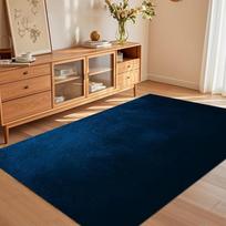 Solid Navy Blue Velvet Area Rugs Non-Slip Entry Door Mat Washable Carpet for Living Room Bedroom Home Decor Washroom Floor Mat 40x60CM