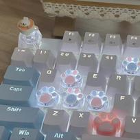 Mechanical Keyboard Resin Keycap Cat Paws Pad Clear Backlit Rgb Wasd Arrow Esc Key Cartoon Cute Oem Xda Cherry Profile Mx Switch gray