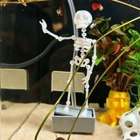 Oro varomas šokantis skeletas akvariumo burbuliatorius Dinamiškas skeletas burbuliatorius Akvariumų entuziastams balta