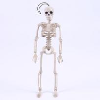 Lankstomas skeletas Helovino dekoras Baisus žmogaus kaulas Kraupi vakarėlio dekoracija white