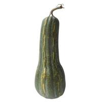 Foams Pumpkins Vegetable for Basket Display Long Foams Pumpkin for Thanksgiving Harvest Parties