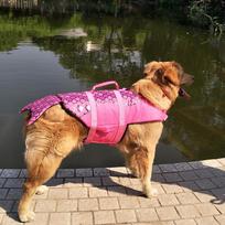Shark Mermaid Dog Life Jacket Swimsuit - Summer Pet Swimwear XS