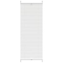 vidaXL Plisuotos Žaliuzės, 60 x 100 cm, Baltos