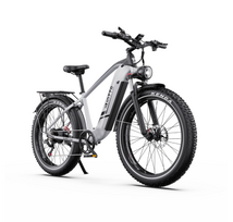 DUOTTS F26 Lite elektrinis dviratis (26")