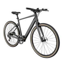 FIIDO C21 E-GRAVEL elektrinis dviratis (28")