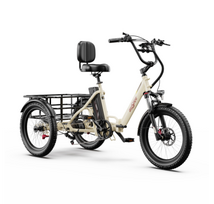OneSport OT30 Pro CARGO elektrinis triratis dviratis (20")