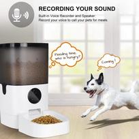 6L Pet Feeder Food Dispenser Smart Automatic Visible Cover Pet Dog Cat Remote Control APP Timer [Video/WiFi/Button Version] Button Version